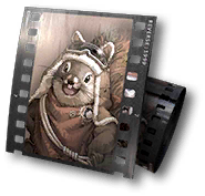 Character Equipment